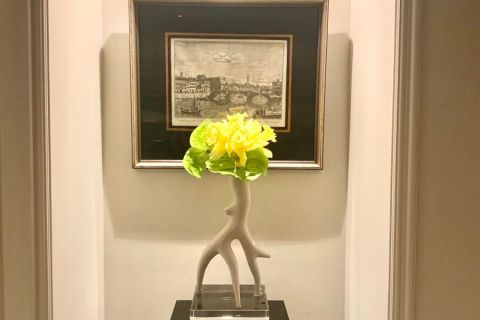 DISPLAY